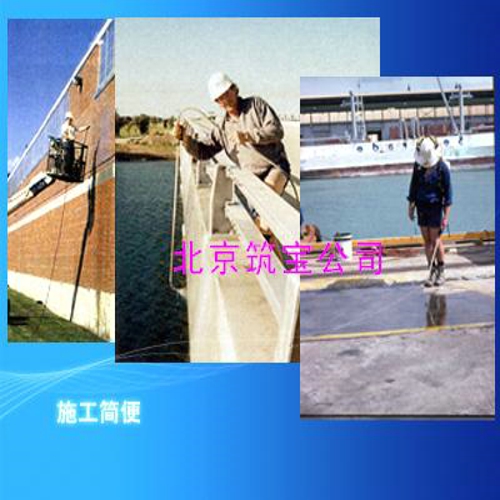 衛(wèi)生間防水劑